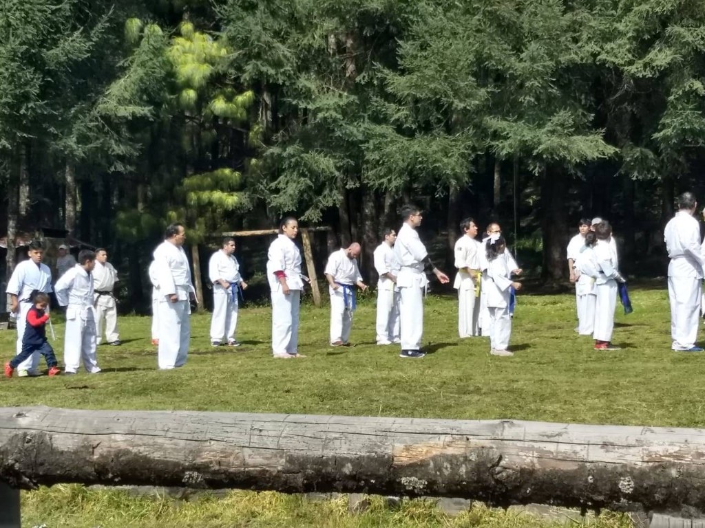 Line of instructors and students in a forest clearing