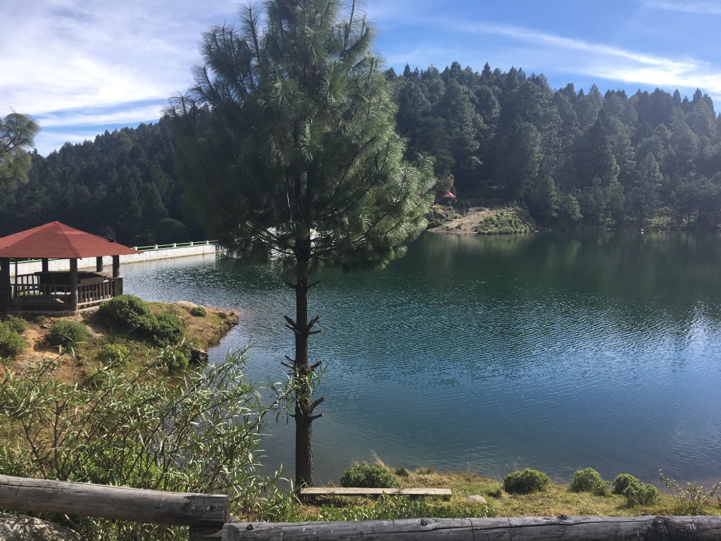 Another view of the reservoir and pine forest