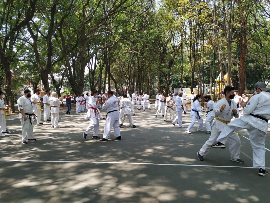 Movement and technique on the park court