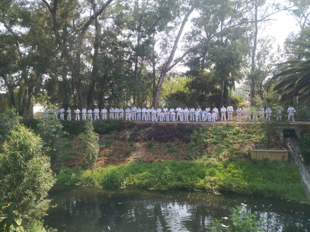 Practitioners lined up on the bank at the park
