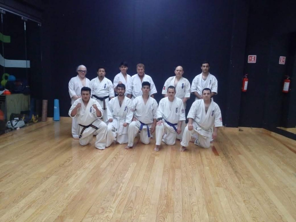 Participants of the October 2018 seminar and grading, standing and kneeling in the dojo