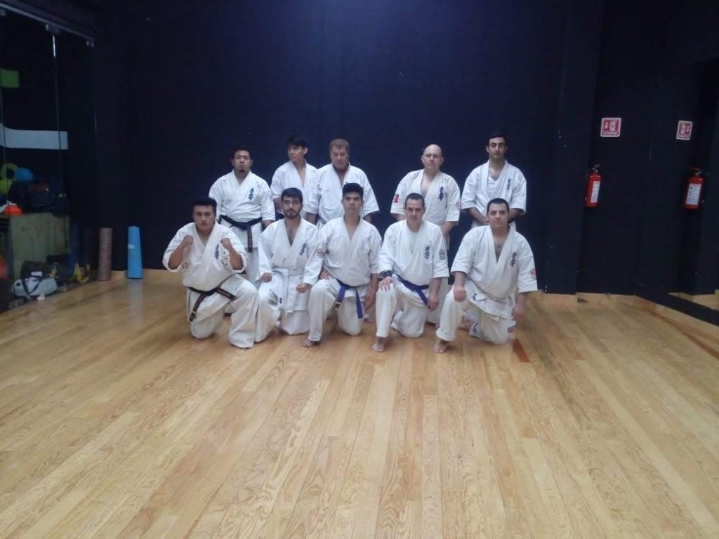 Another group photo in the dojo during the 2018 seminar and grading