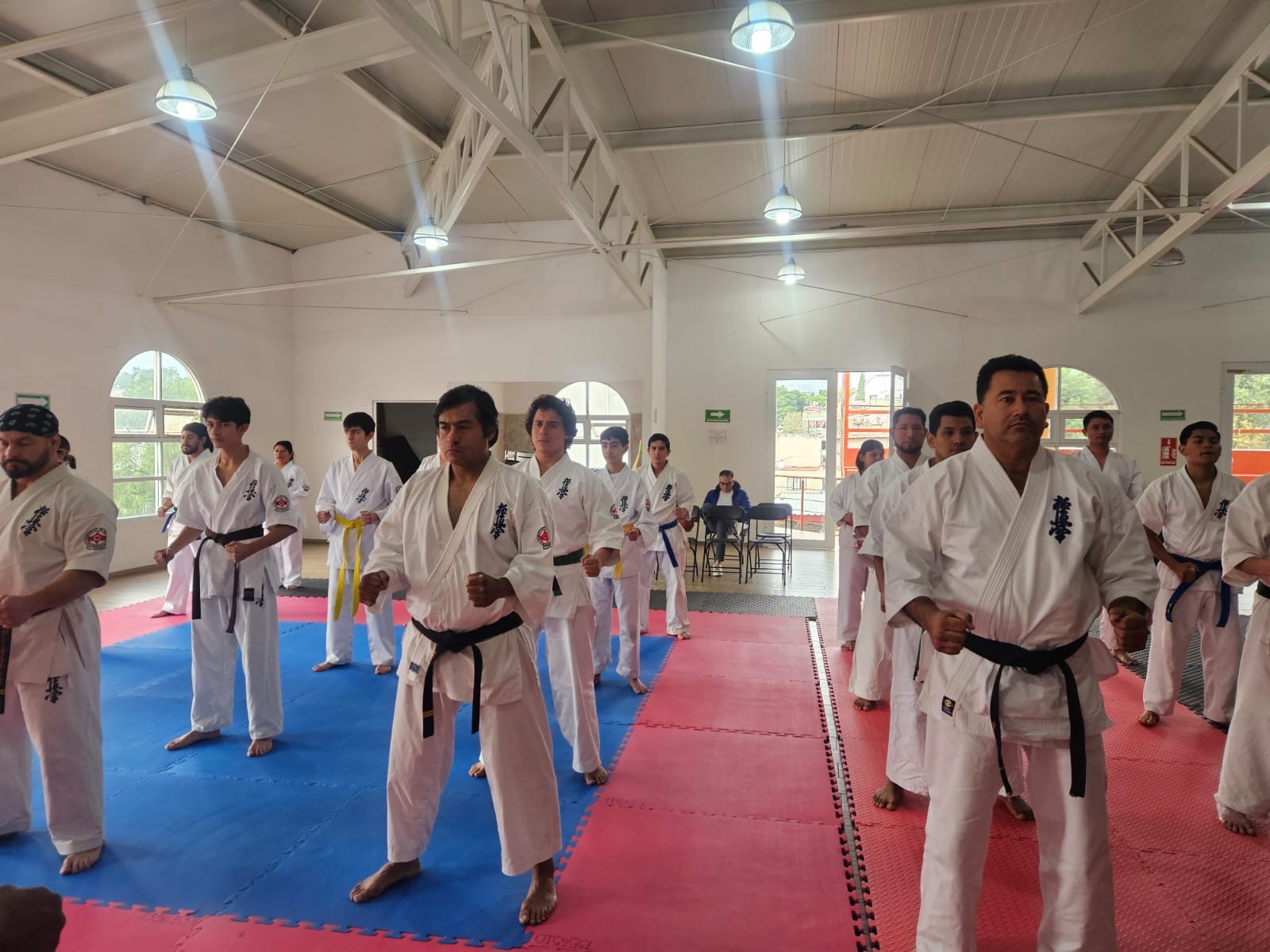Formación de karatekas sobre el tatami