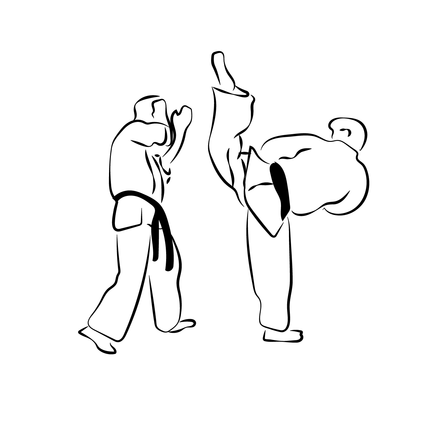 Mawashi Otoshi Geri