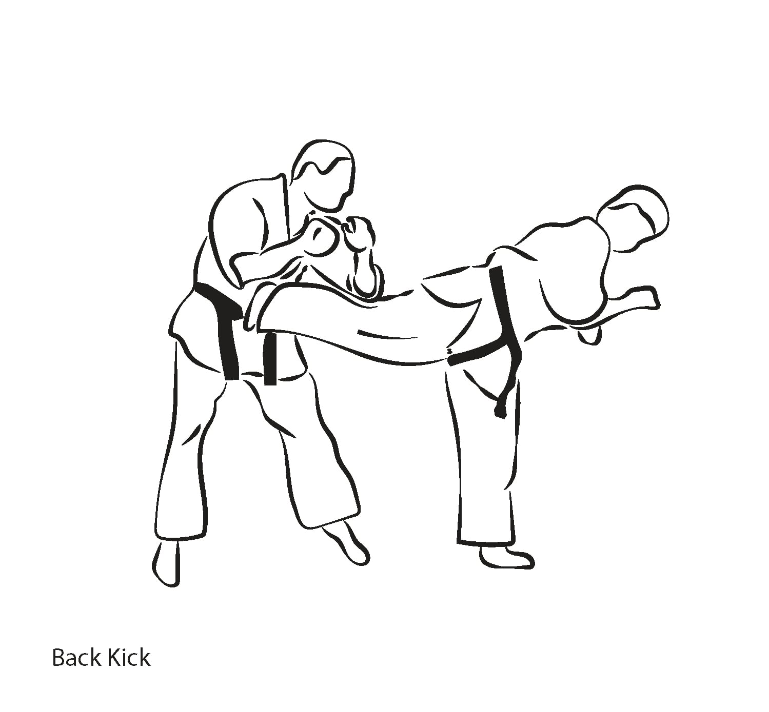 Ushiro Geri