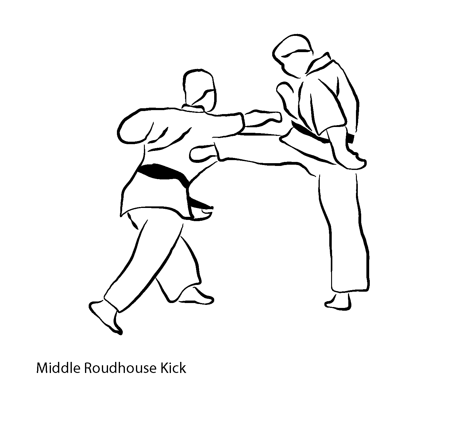 Chudan Mawashi Geri