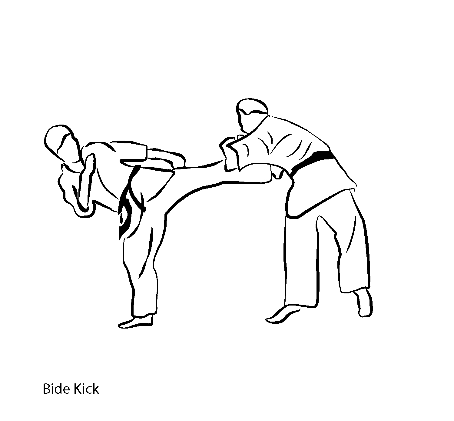 Chudan Yoko Geri