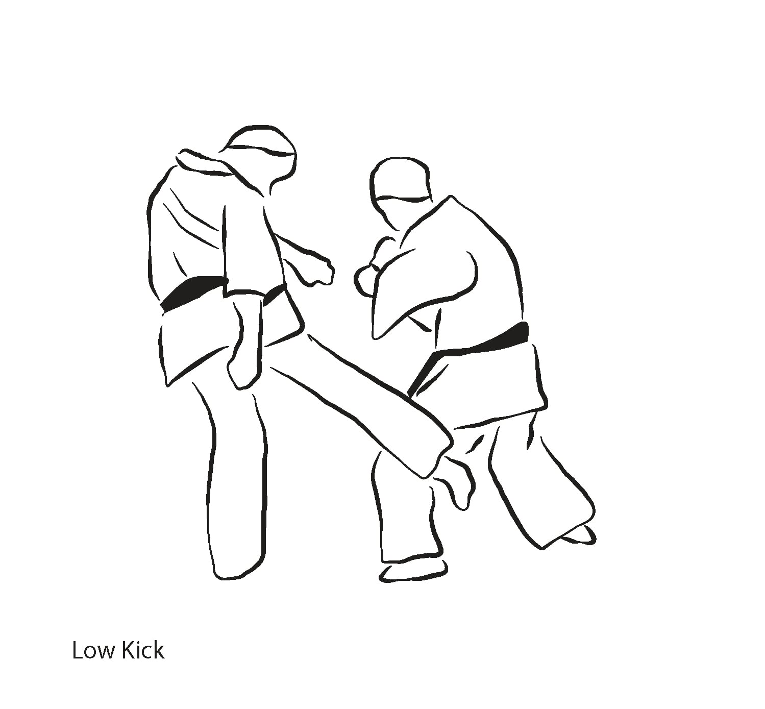 Gedan Mawashi Geri