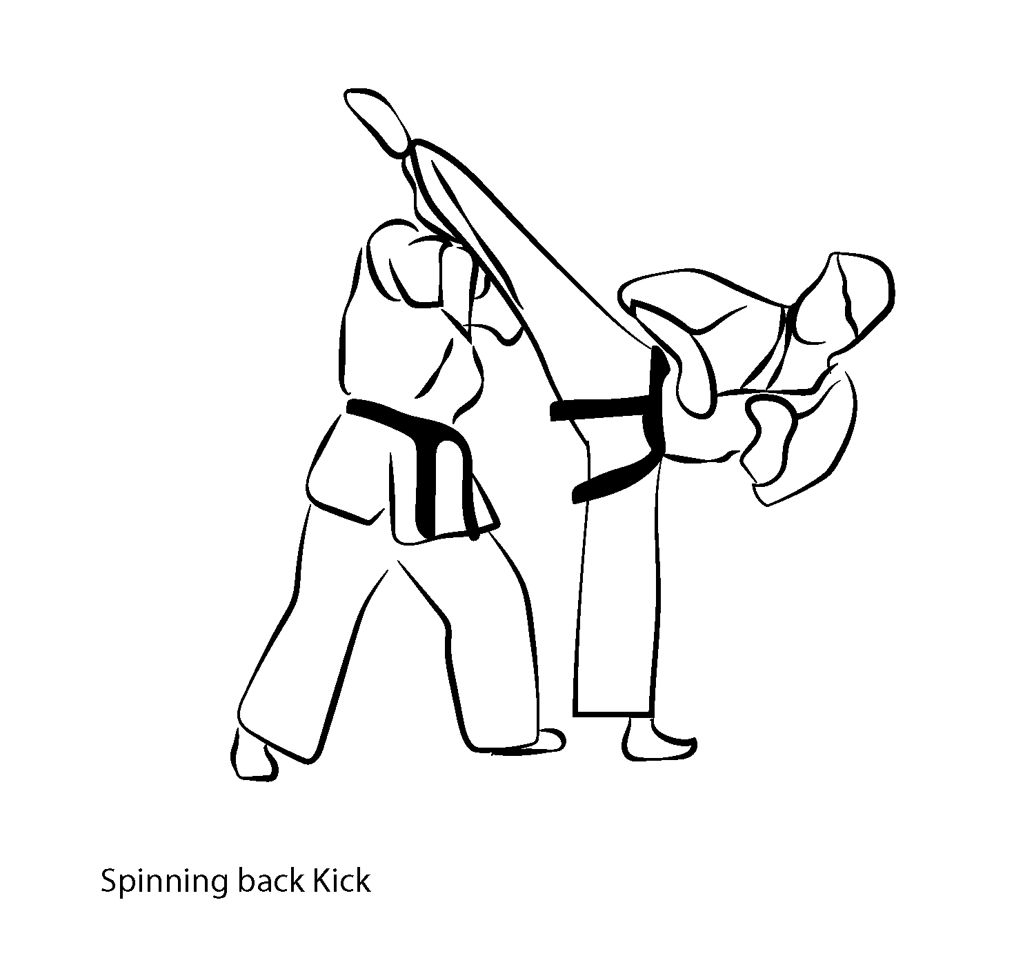 Ushiro Mawashi Geri